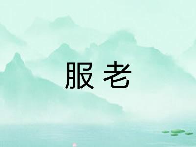 服老 服老