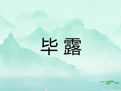 毕露 毕露