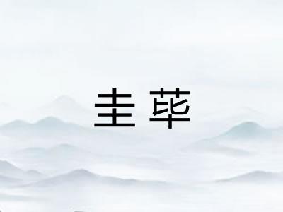 圭荜 圭荜
