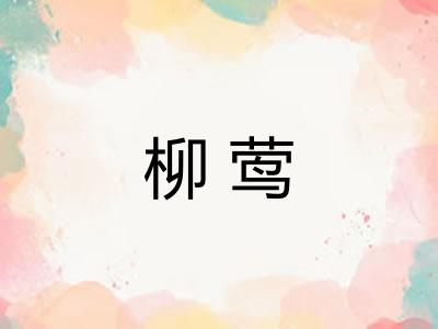 柳莺 柳莺