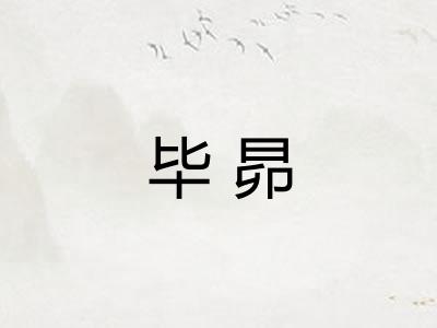 毕昴 毕昴