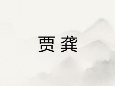 贾龚
