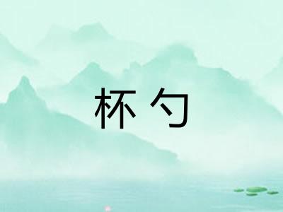 杯勺 杯勺