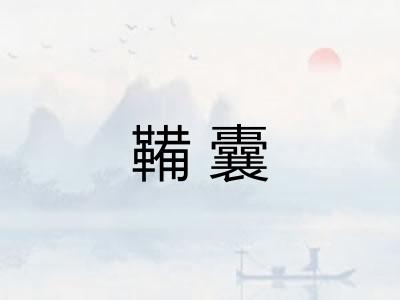 鞴囊 鞴囊