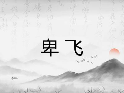 卑飞 卑飞