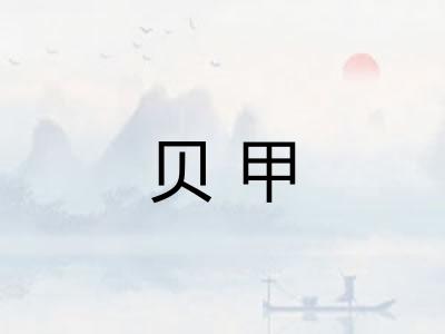 贝甲 贝甲