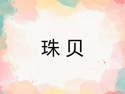 珠贝 珠贝