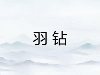 羽钻 羽钻