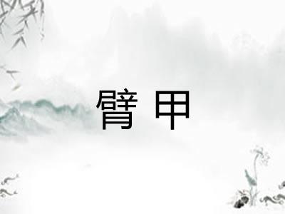 臂甲