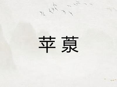 苹葲 苹葲