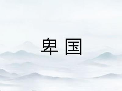 卑国