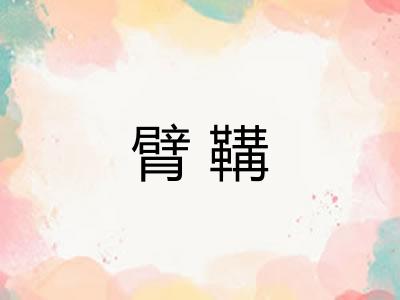 臂鞲 臂鞲