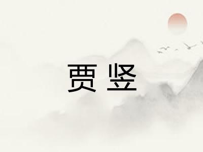 贾竖 贾竖