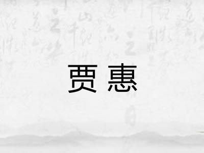 贾惠 贾惠