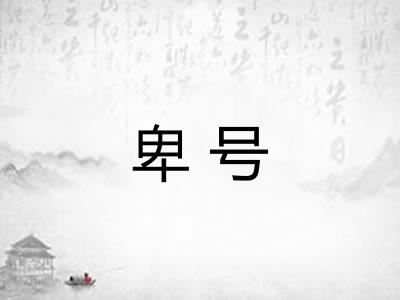 卑号 卑号