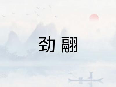 劲翮 劲翮