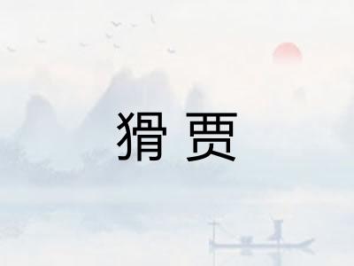猾贾 猾贾