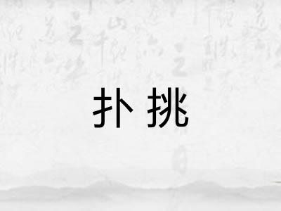 扑挑 扑挑
