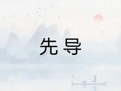 先导