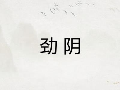 劲阴 劲阴