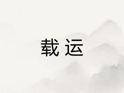 载运 载运