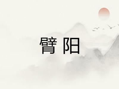 臂阳 臂阳