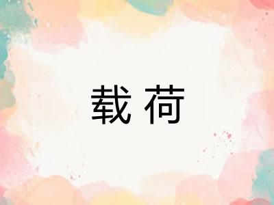 载荷 载荷