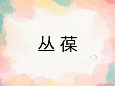 丛葆 丛葆