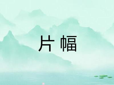 片幅 片幅