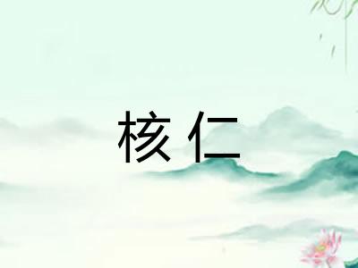 核仁 核仁