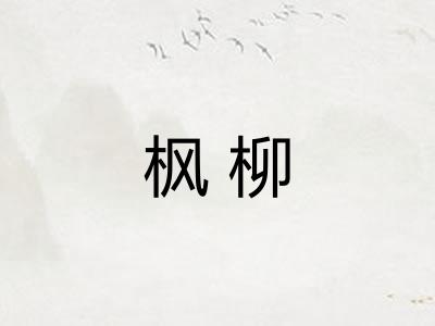 枫柳 枫柳