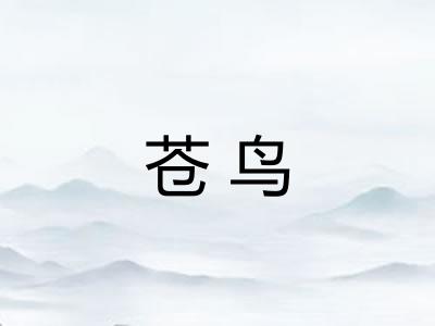 苍鸟 苍鸟