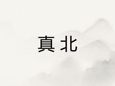 真北 真北
