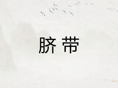 脐带 脐带