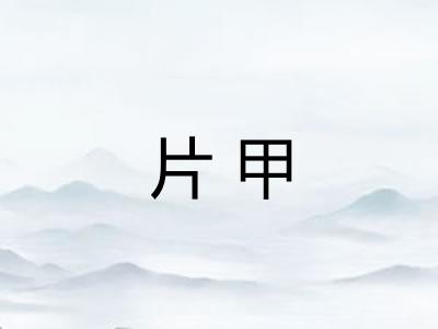 片甲