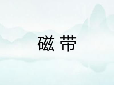 磁带 磁带