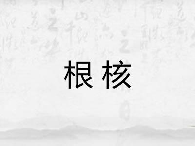 根核 根核