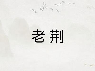 老荆 老荆