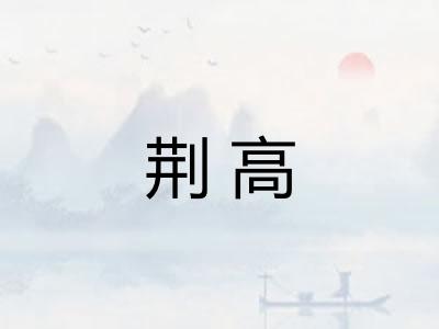 荆高 荆高