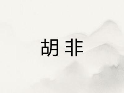 胡非 胡非