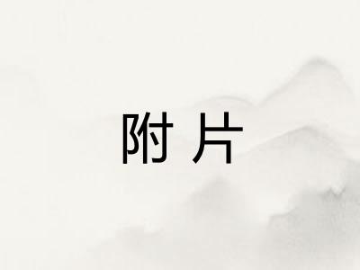 附片 附片