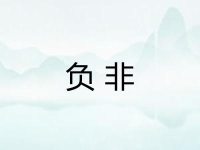 负非 负非