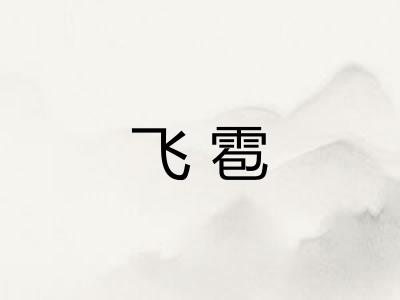 飞雹 飞雹