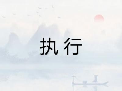 执行 执行
