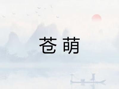 苍萌 苍萌