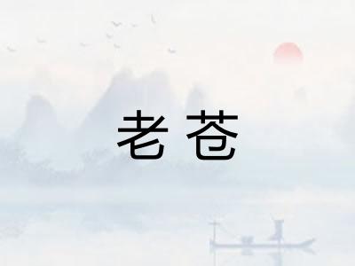 老苍 老苍