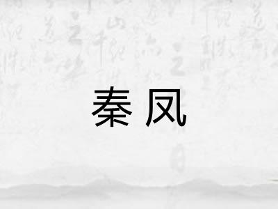 秦凤 秦凤