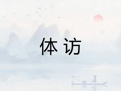 体访
