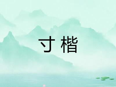 寸楷 寸楷