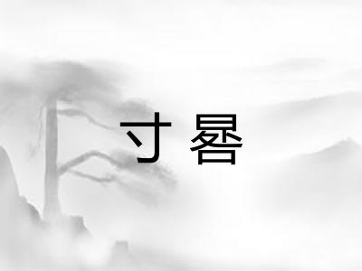 寸晷 寸晷
